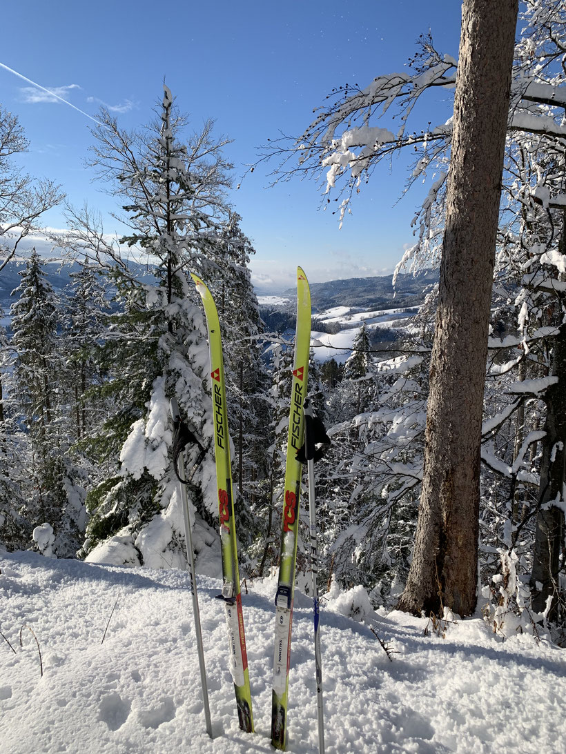 Am Scheitelpunkt ein traumhafter Blick über das Dreisamtal bis nach Freiburg ...