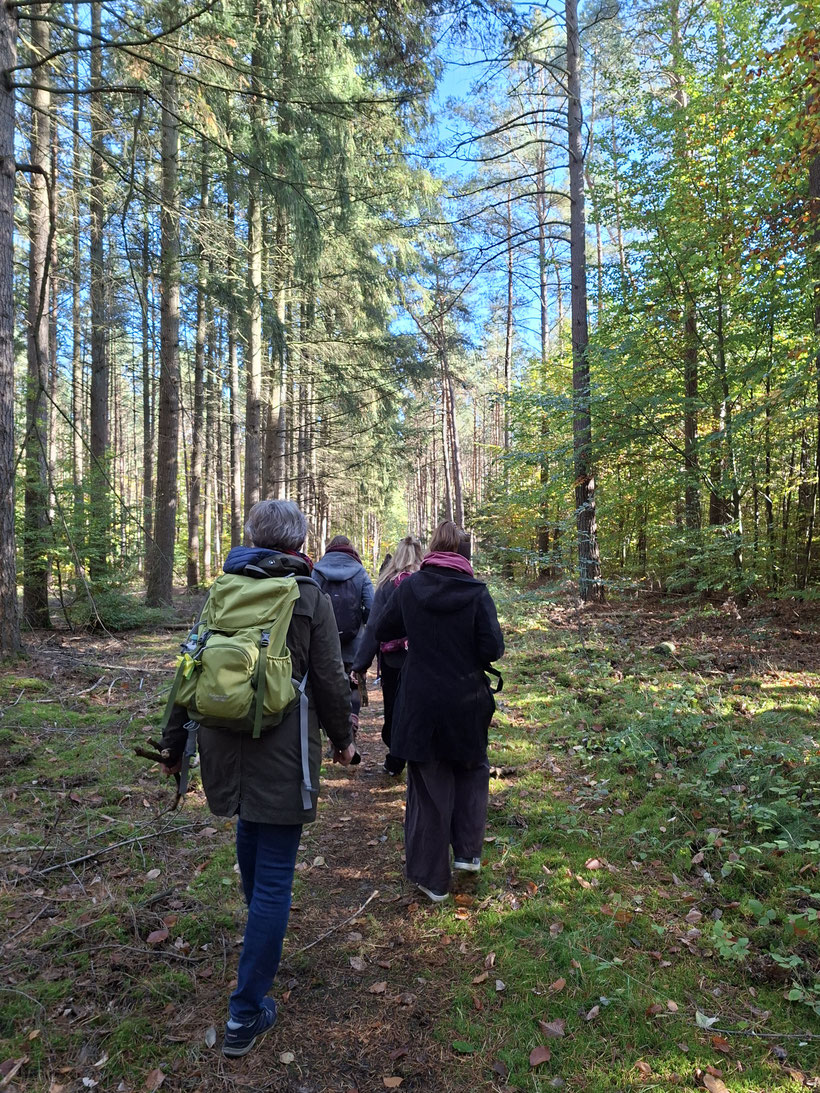 Magische Achtsamkeitswanderung durch wunderschönste Natur