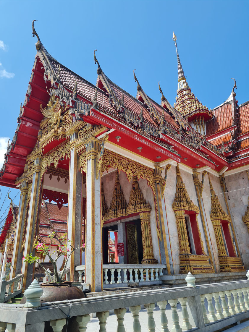 Koh Phuket/Thailand (9.2.2026)