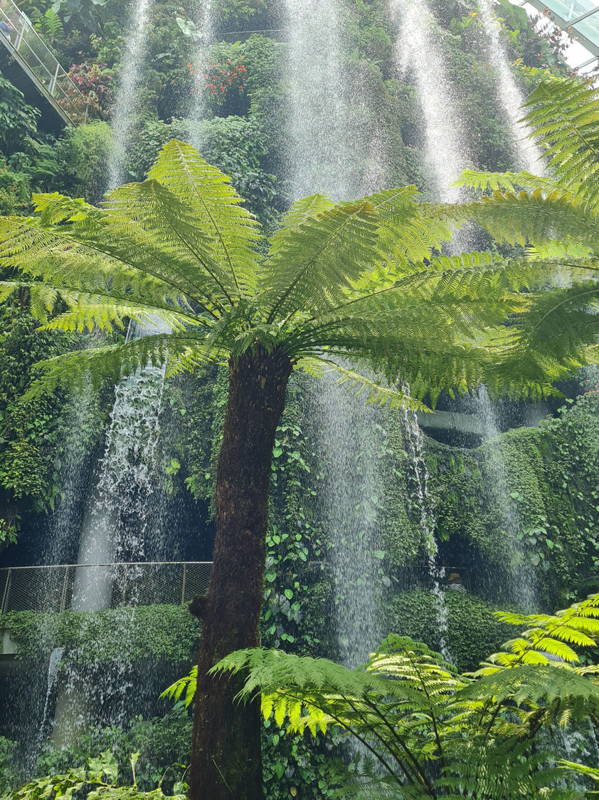 Singapur, Gardens by the Bay