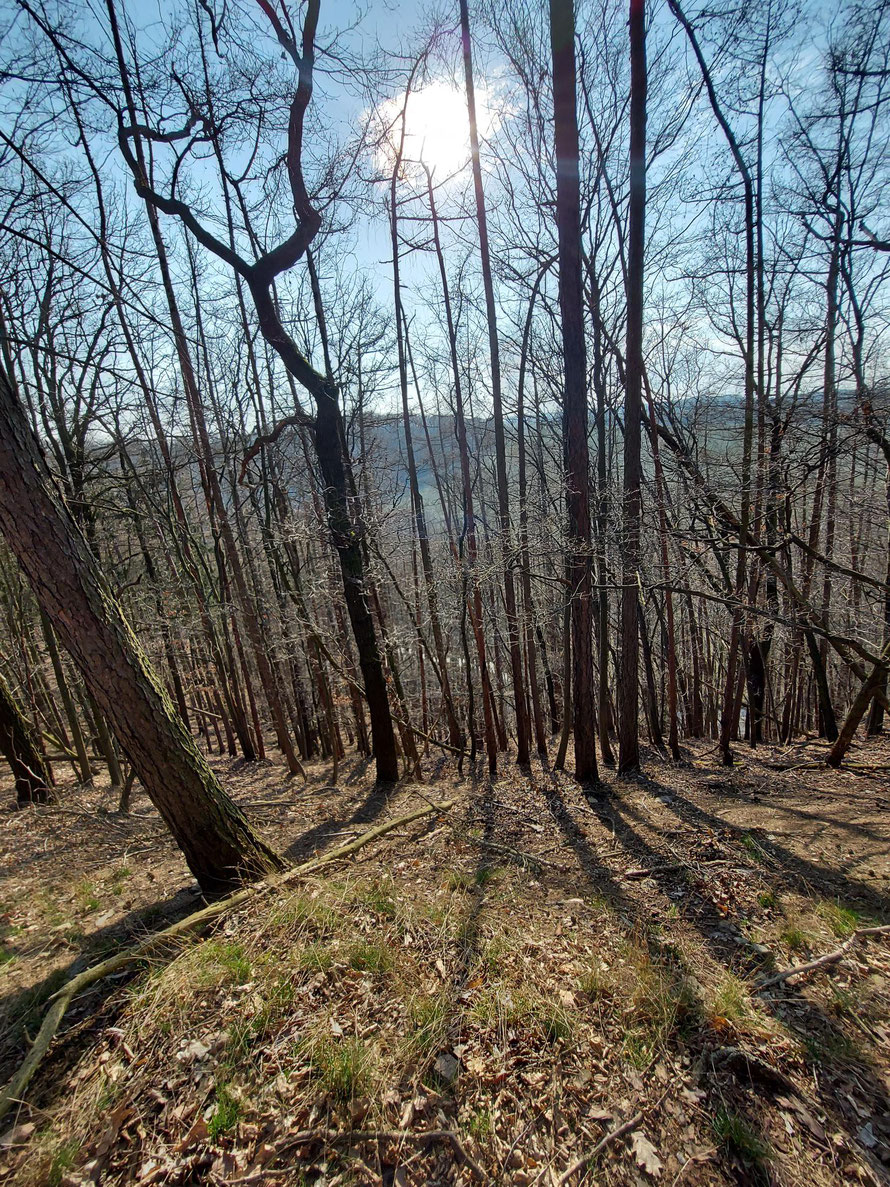 Auf  dem Burgberg zu Gleisberg