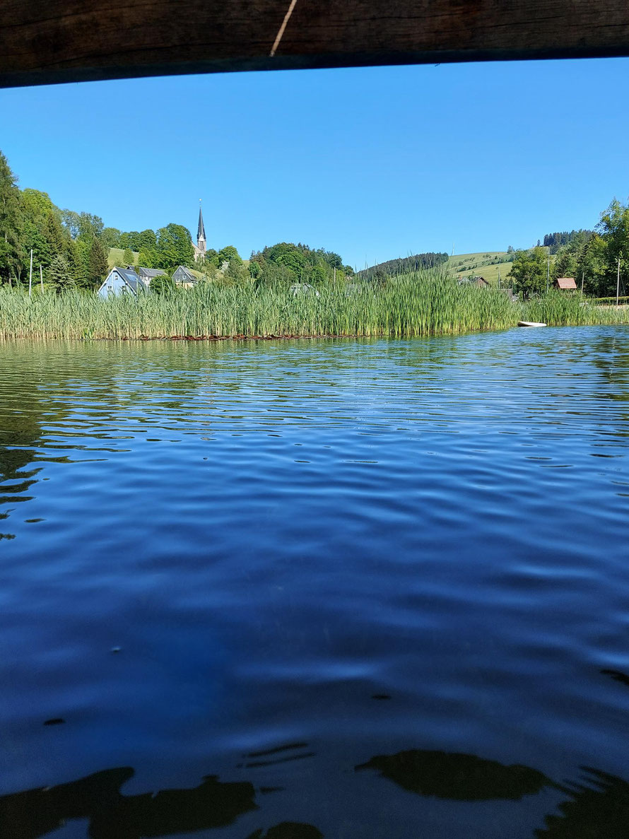 Im Wasser - Rechenberg / Ökobad