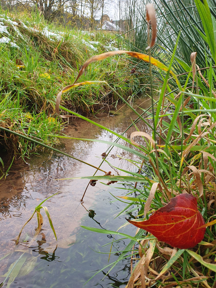Naturpark Hessischer Spessart, Burgwiesenpark (Foto N.Stürmer 2025)