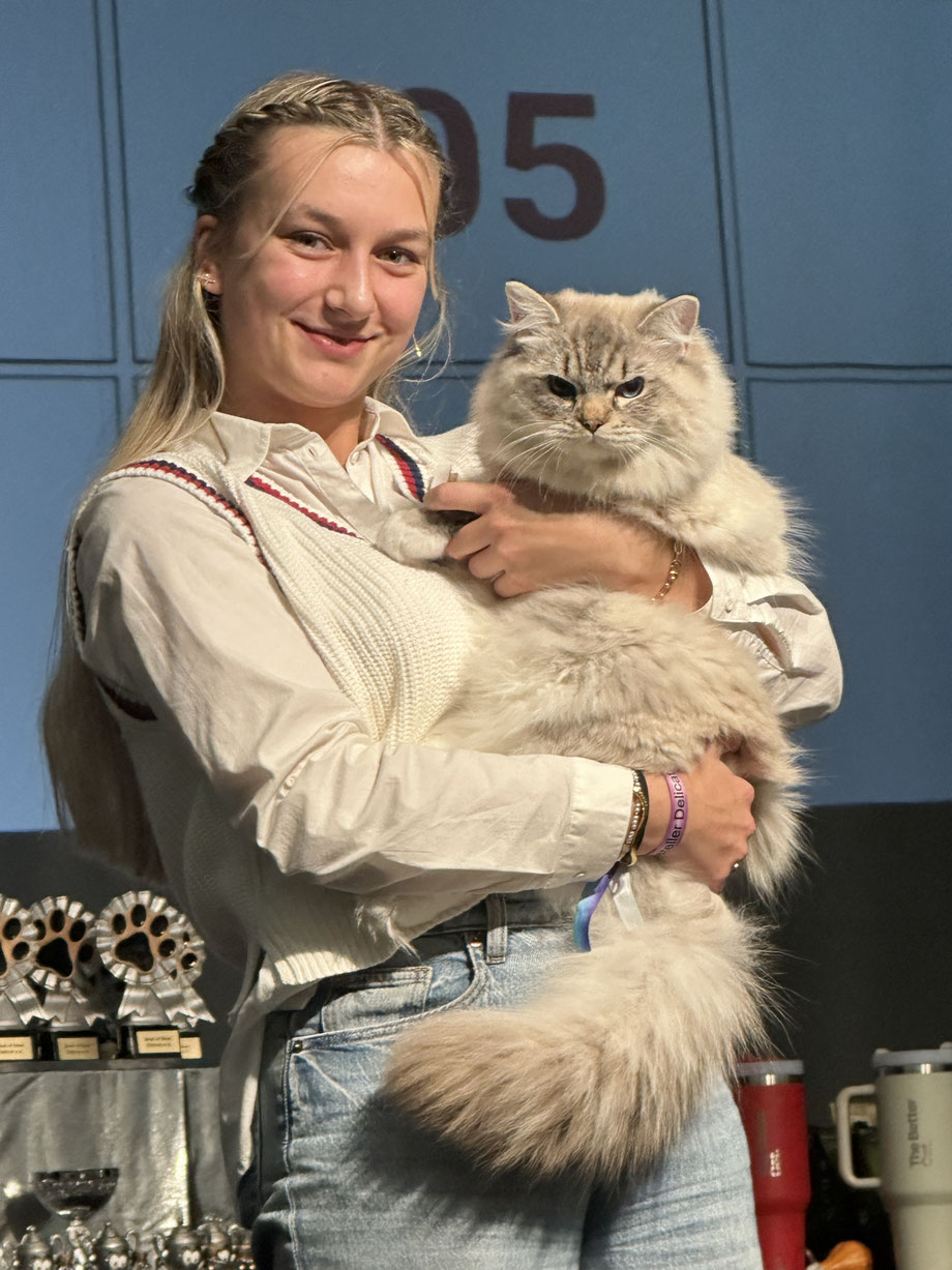 Best of Breed und einen Sonderpreis , sowie Richterliebling ist unser Ninja am 11.10. in Seevetal  geworden.