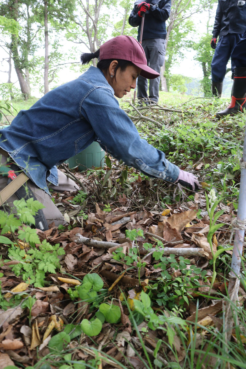 大地の再生＠藤野