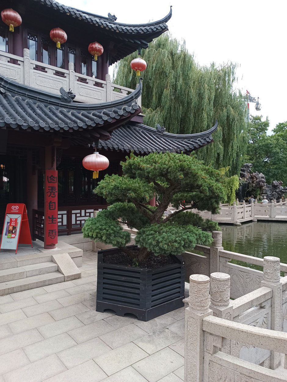 Chinesischer Pavillion