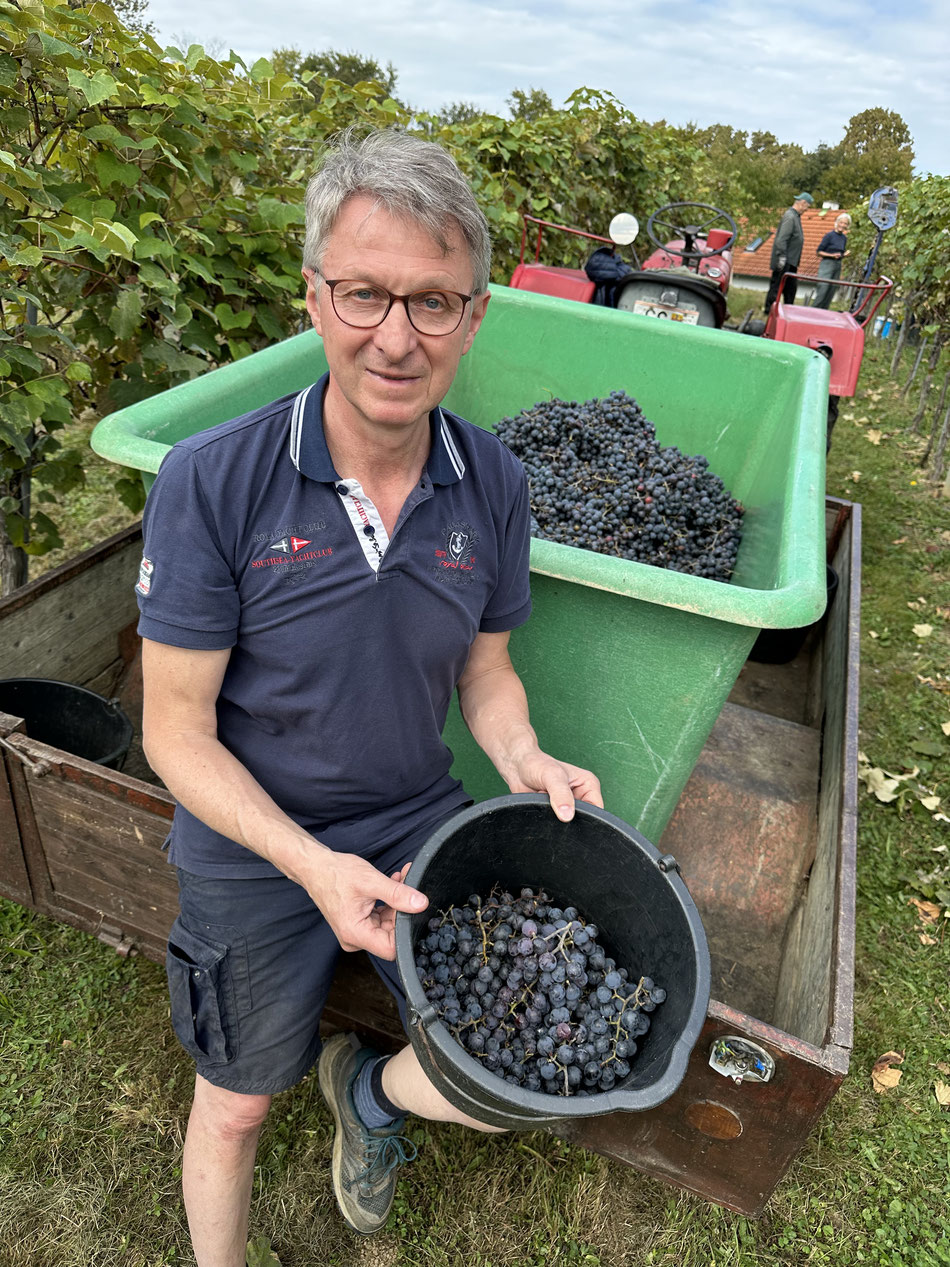 Bei der Weinlese - ja und der Anhänger müßte mal erneuert werden ;-) 