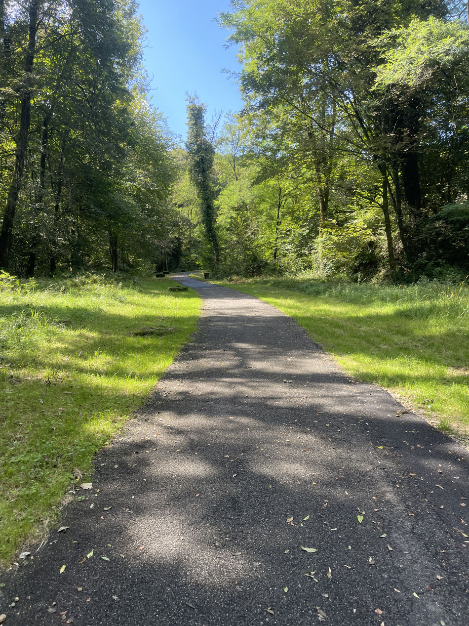 Hier beginnt die Meditation ohne Gong.