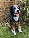 Hundefiguren für Haus und Garten