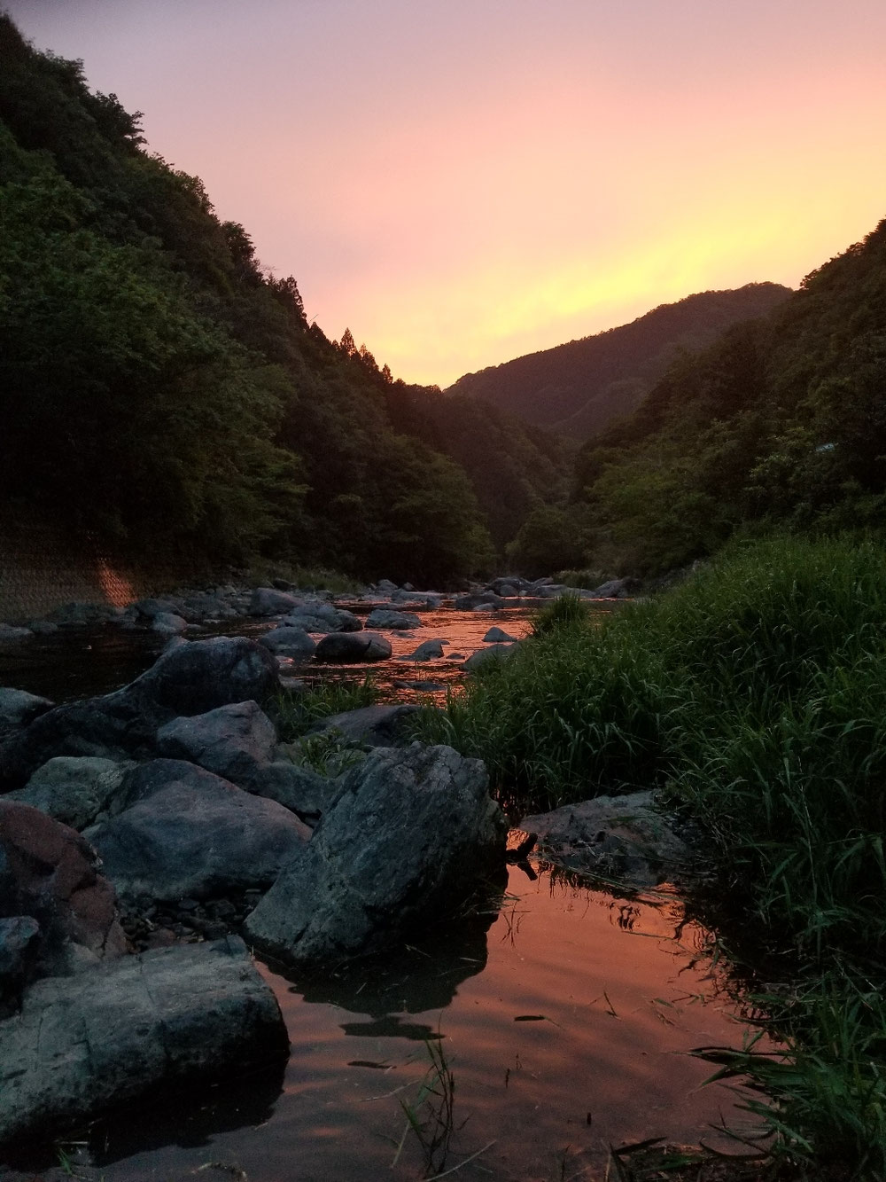 夕日