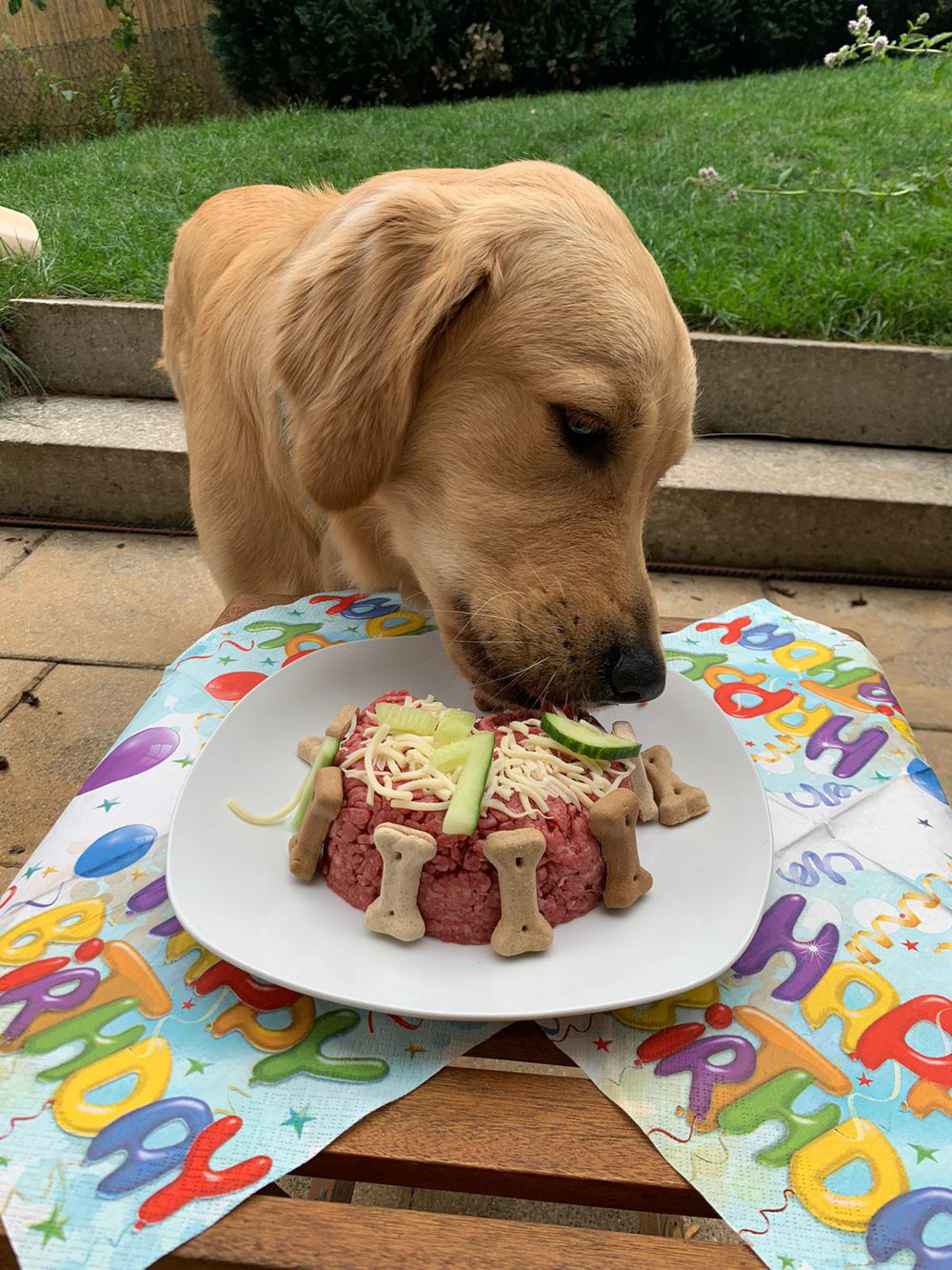 Filou Rio genießt seine Torte zum ersten Geburtstag. 