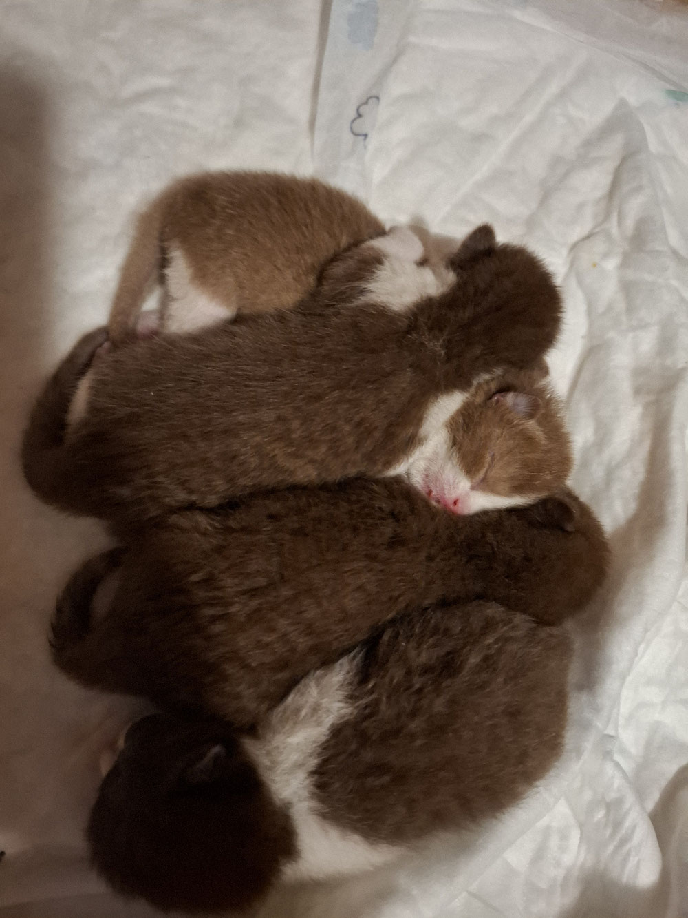 Aktuelle Babys 
