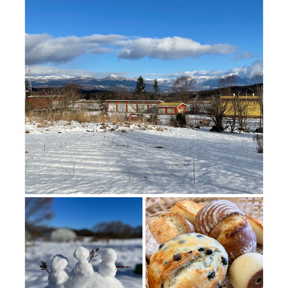 暖冬とはいえ寒さ厳しい今日このごろです。雪を身にまとった岩手山は雄大です！