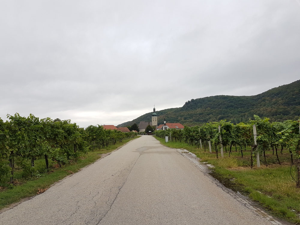 Ein Teil der Weinbergroute