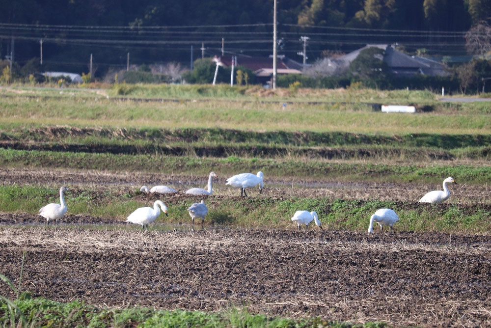 令和7年11月12日 スナックほたる前