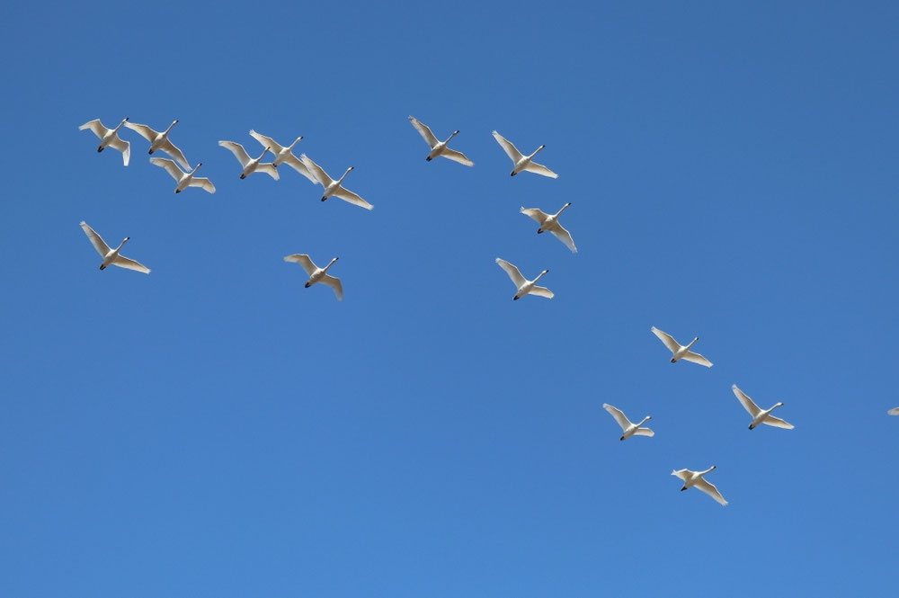 2026/2/13 いすみ市高谷上空