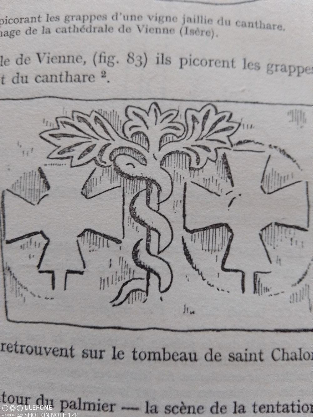 Et ici l'arbre originel est une croix vivante..