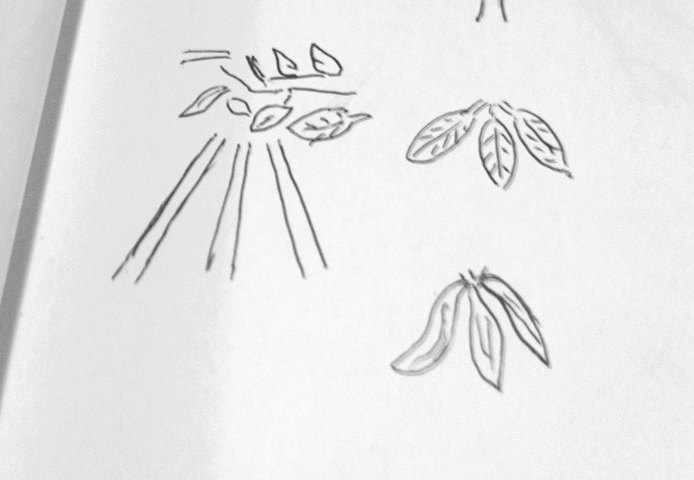 Le triban se trouve sur les monnaies aussi, toujours venant du ciel et constamment accimpagné des feuilles de l'arbre, voir même sous la forme de feuilles de hêtre où de gui. Ça donne une bonne indication car les plantes, les arbres, sont des saints, des esprits saints, sans passions destructives. On connaît la doctrine ancienne et elle semble correspondre au triban feuillue : "force, respect et gentillesse". La lumière et les plantes c'est un peu la lumière sainte..