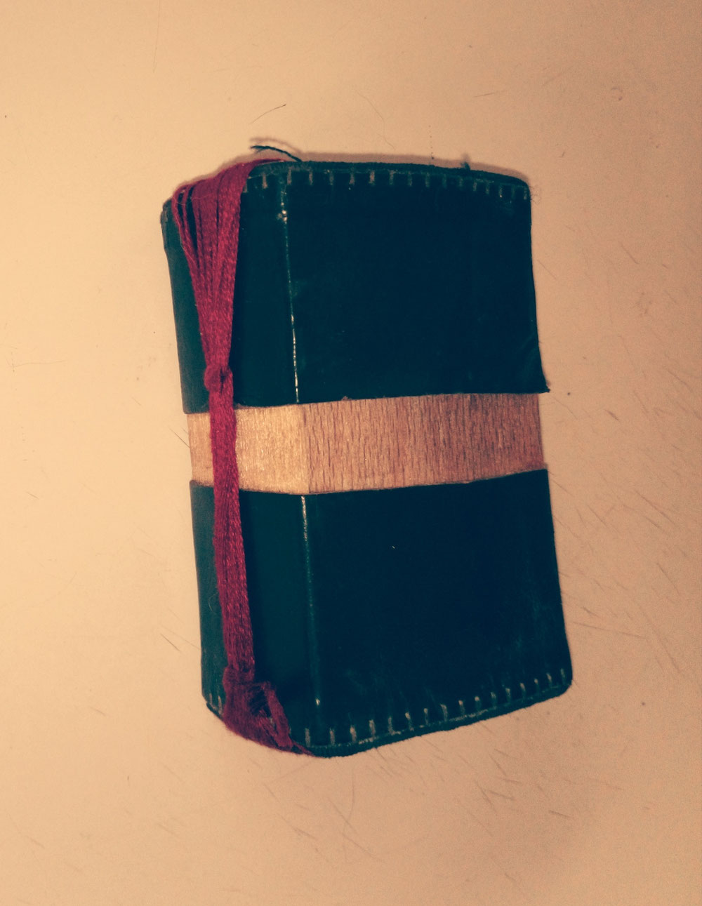 Un petit livre druidique qui lui sert à noter ses secrets.