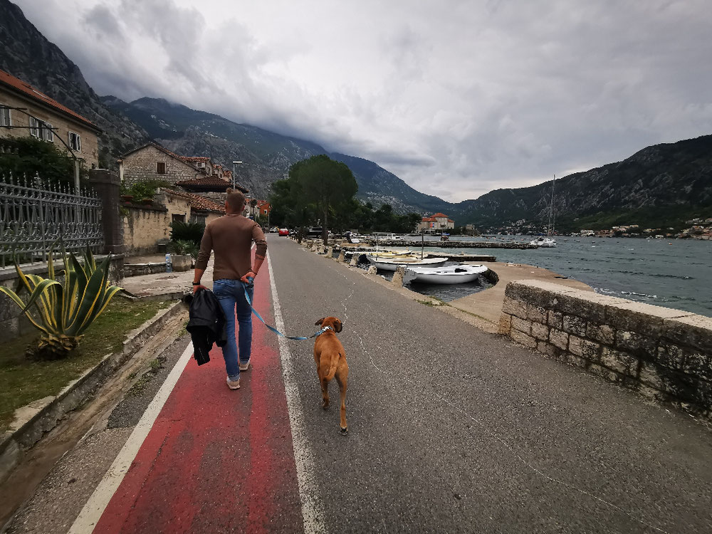 Schließlich: Kurz frisch gemacht und auf geht's nach Kotor. Auch die Stadt der Katzen genannt. Na mal gucken. ☺️