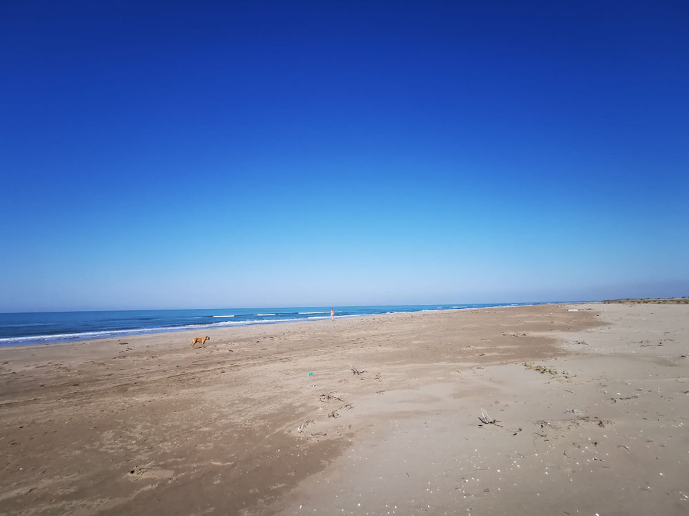 Wir machen Strandwanderungen. (klukerweise erkunden wir die Klippen mit Flipflops😬) 