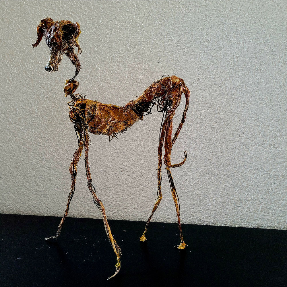 Saluki  