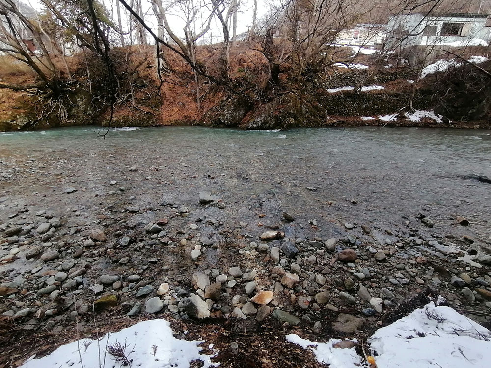 雪解けの水で増水しているようすでした