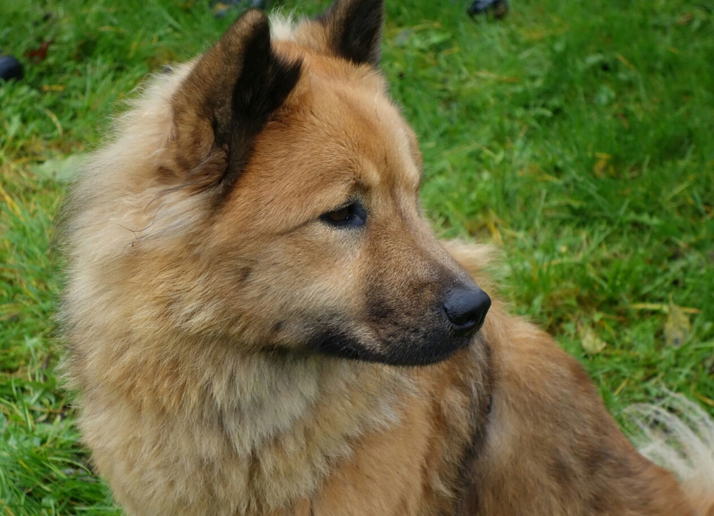 Meine süße trächtige dicke Maus 😍