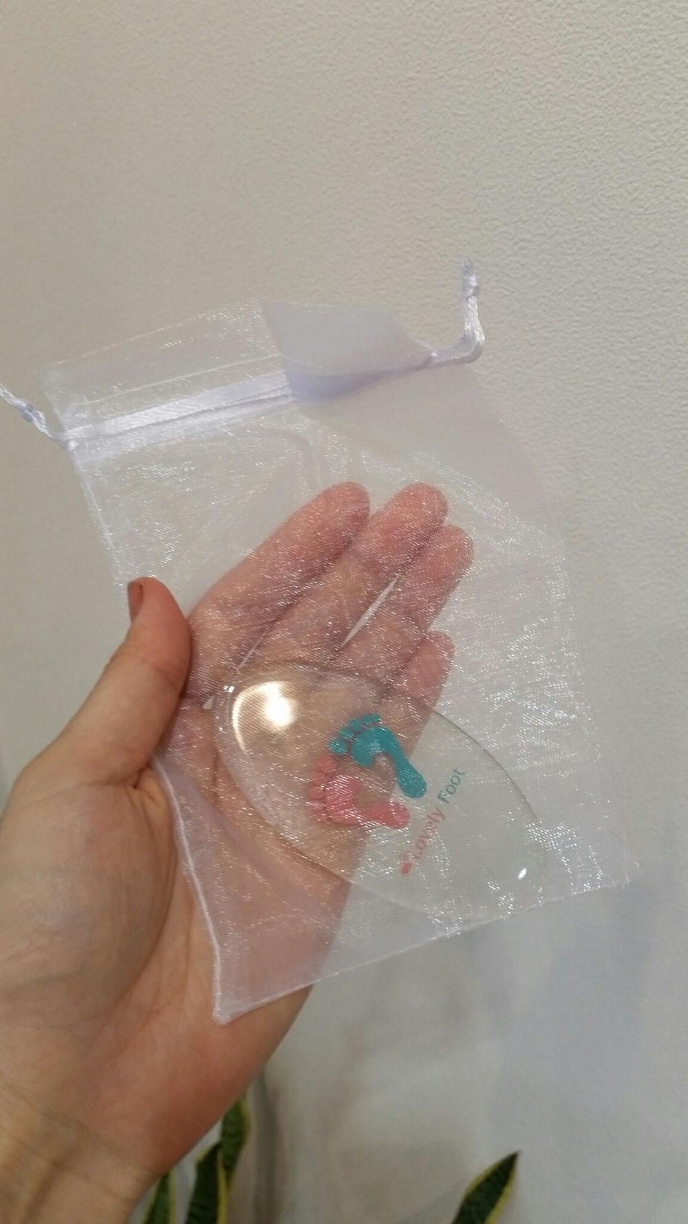 専用保存袋が付いて、お値段税込¥2916