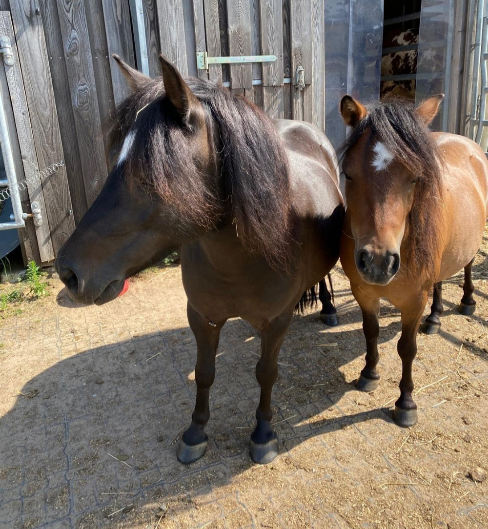 Kiwi und Cleopatra ❣️