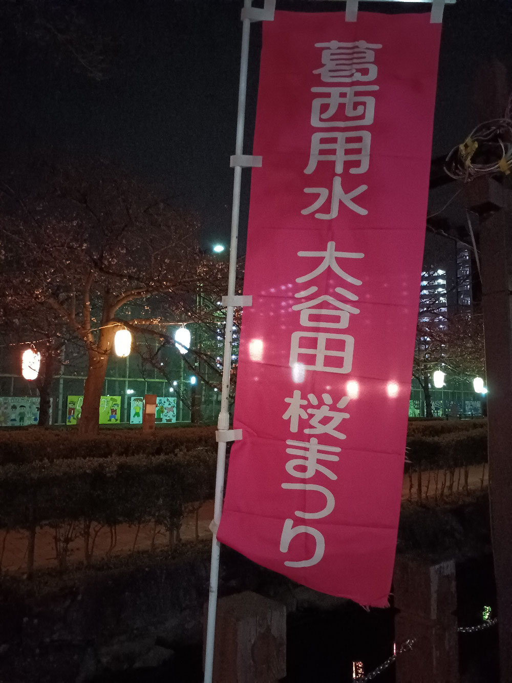 夜桜観賞