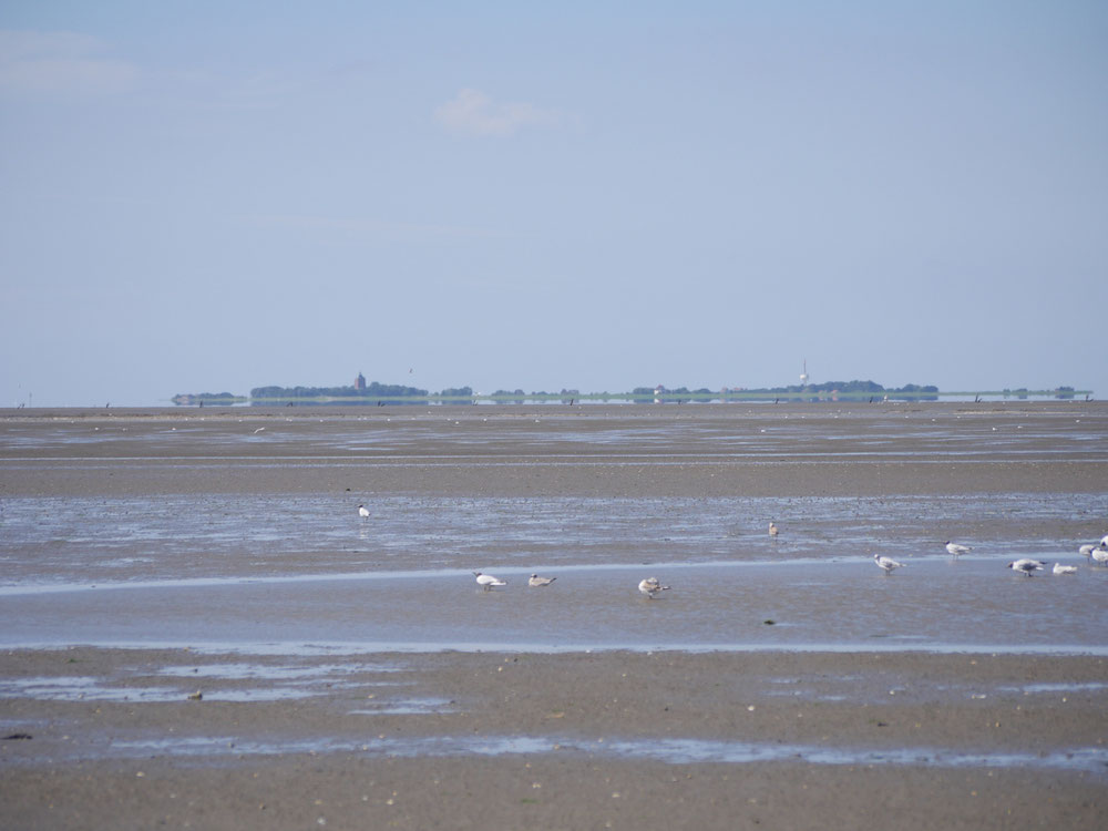 Die Aussicht von der Duhner Spitze über das Wattenmeer bis zur Insel Neuwerk