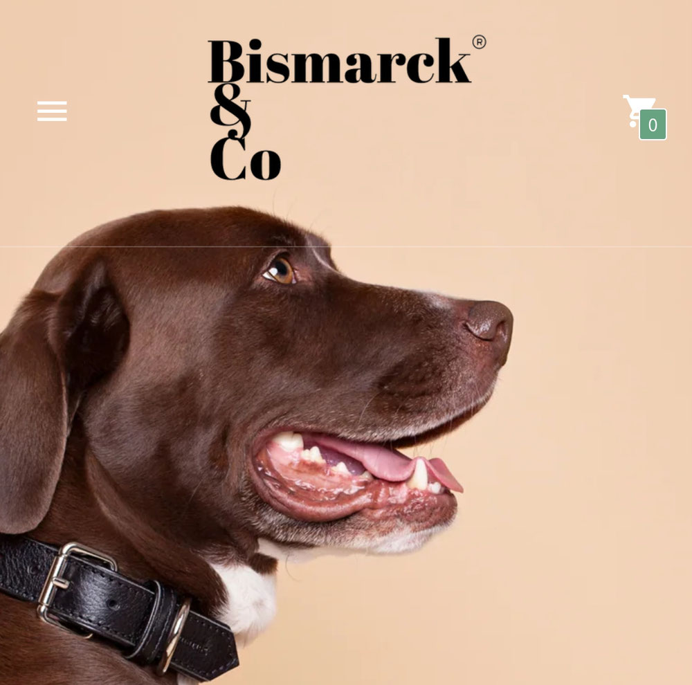 Bismarck&co