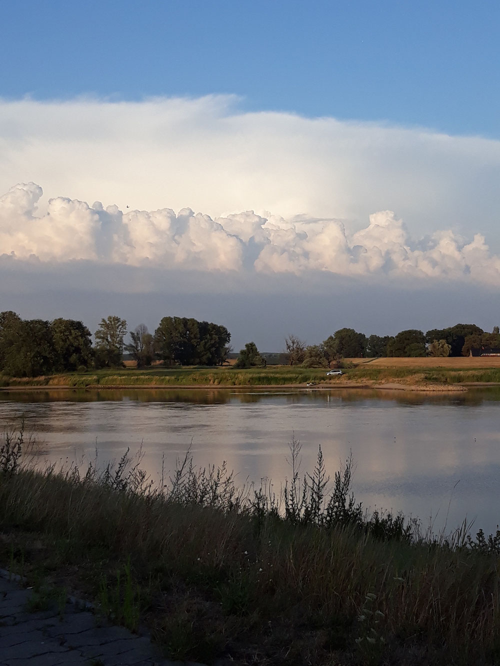 Abendnstimmung an der Elbe. 