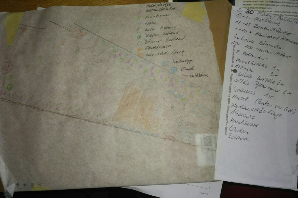 Idee & Pflanzenliste