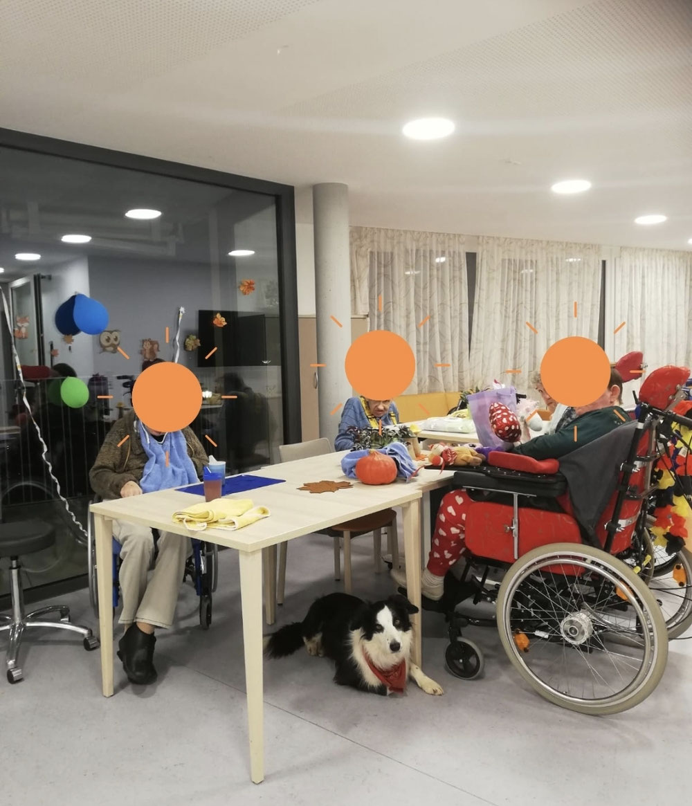 Cody in der Johannes Diakonie