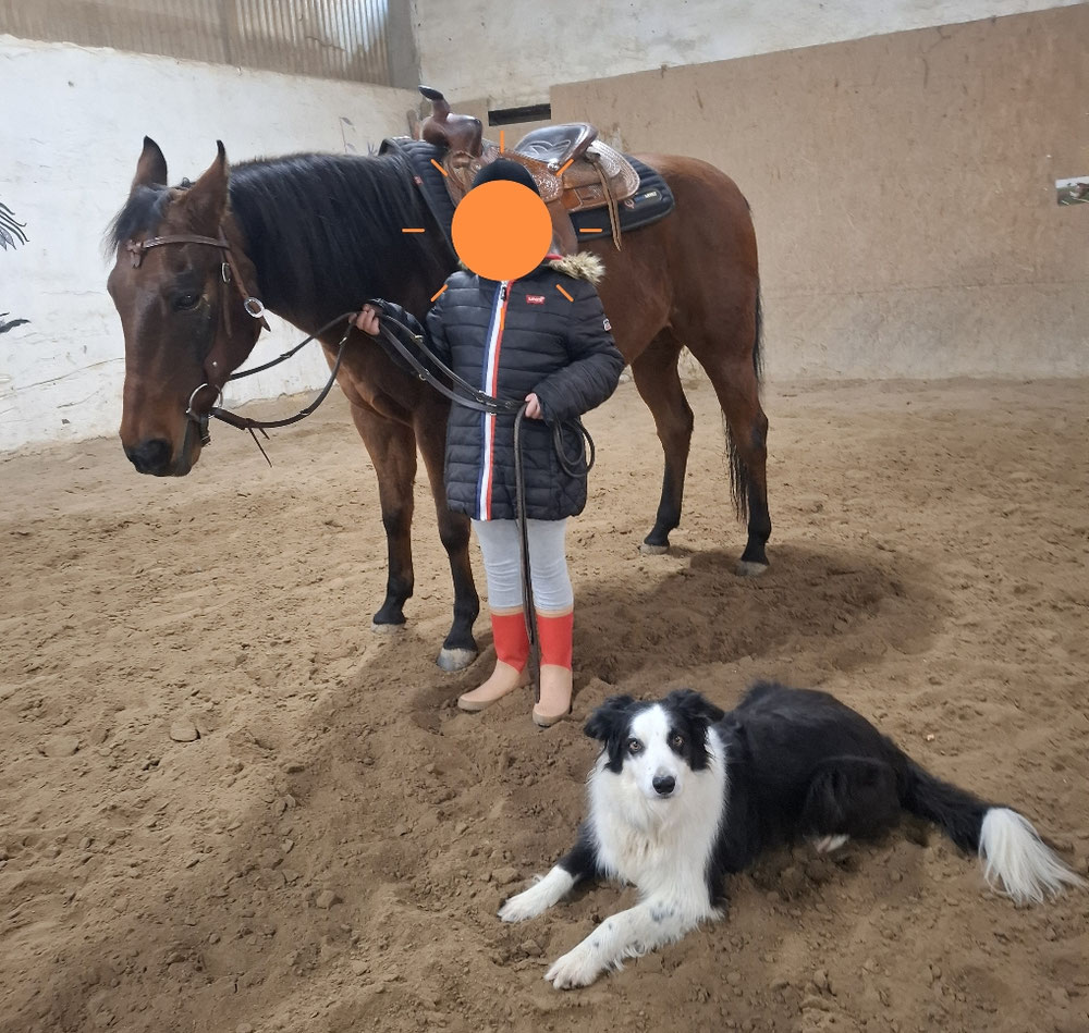 Cody im Einsatz mit unsicherem Kind🥰 In der Tiergestützen Therapie, wir durch den Kontakt mit Hund und Pferd, Vertrauen aufgebaut. Hier wird der Stresslevel reduziert, durch Senkung des Cortisolspiegels. Angst und Anspannung werden reduziert. Gleichzeitig wird die Bindungsfähigkeit erhöht.