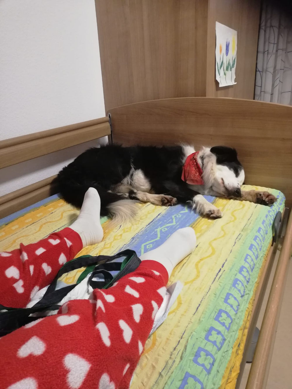 Bester Dreamfänger🥰