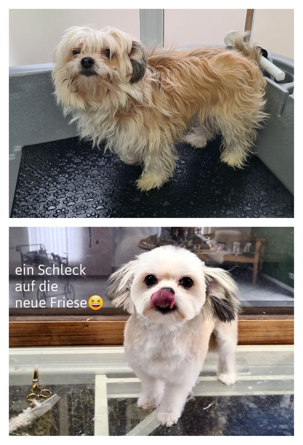Ein Bild Sagt mehr als 1000 Worte.... So ein süsser Fratz 😍