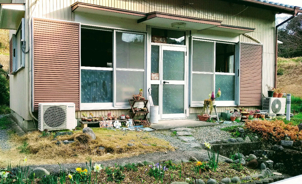 徳川陶房の入口の風景です。花壇にはお花、タニク植物の鉢植えからは春を感じてきます。4月から何か始めたいと思っている方、陶芸を体験してみませんか？