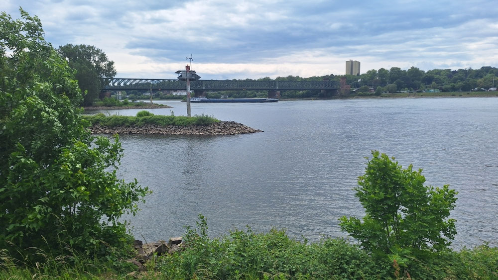 Mündung des Main in den Rhein 