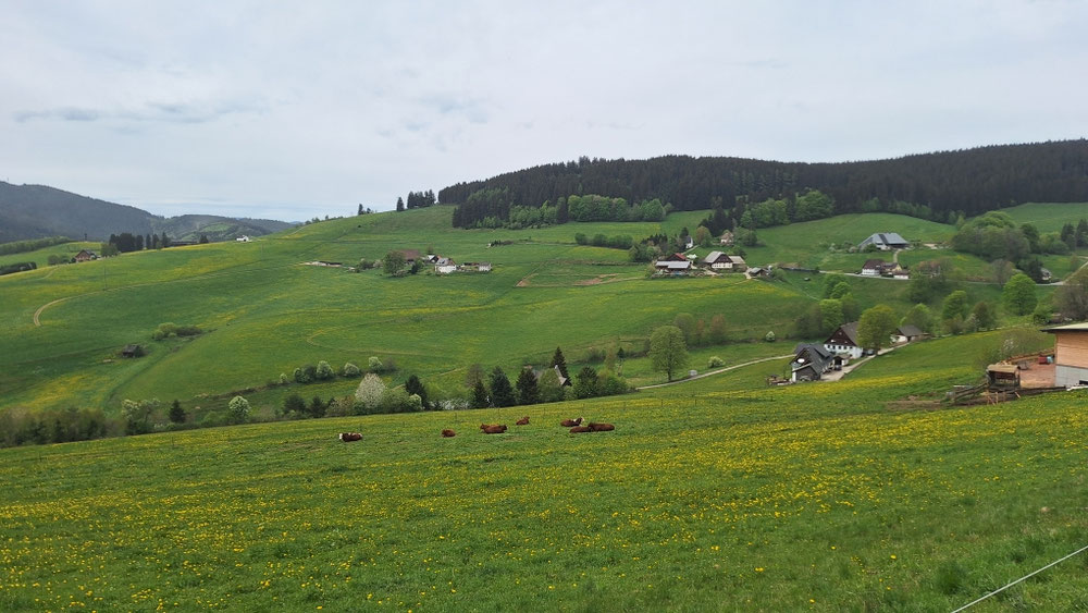 Schwarzwaldlandschaft