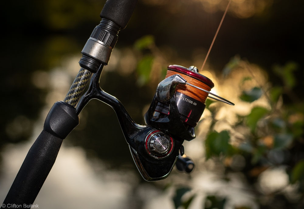 Daiwa Fuego 