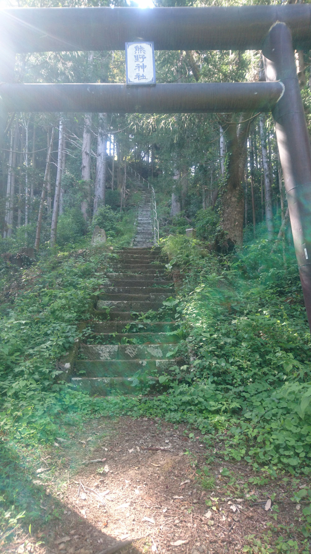 熊野神社の鳥居と石段