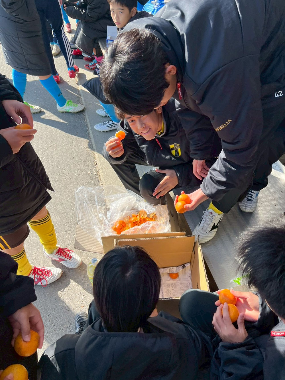 差し入れにいただいたミカンでビタミン補給