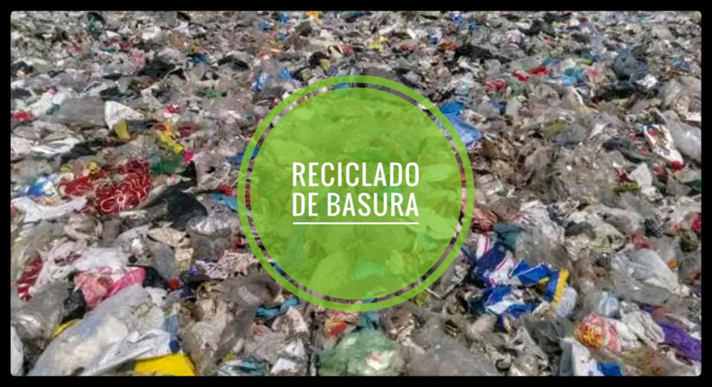 Presunta comisión de Delitos contra el Medio ambiente
