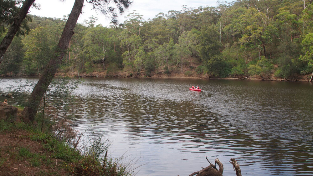 am Kangaroo River kann man Kanus mieten