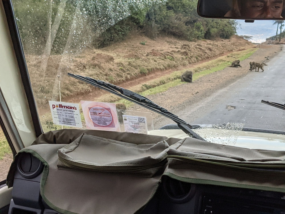 Auf dem Weg zur Masai Mara