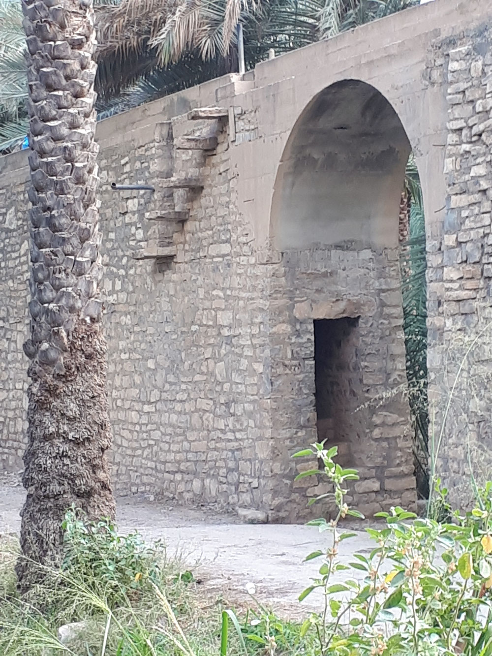 Bewässerungskanal in der Oase