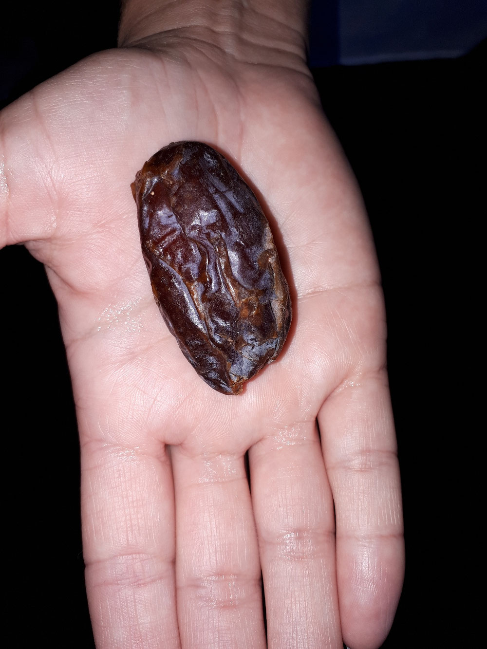 Mutantendattel vom Besuch der Mecca Mall